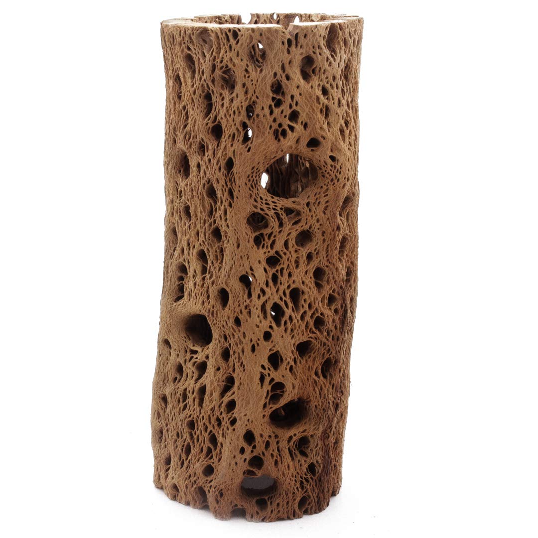 My Pet Patrol 3 to 48 Inch All Natural Teddy Bear Cholla Wood Extra Hollow Large Untreated Organic Aquarium Driftwood Decoration
