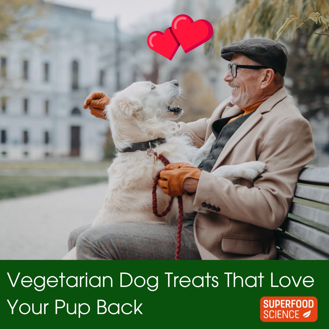 Hypoallergenic Healthy Dog Treats: Plant-Based Vegetarian Dog Snacks w/ Kelp, Sweet Potato, Chia, Flaxseed, Coconut Oil for Skin