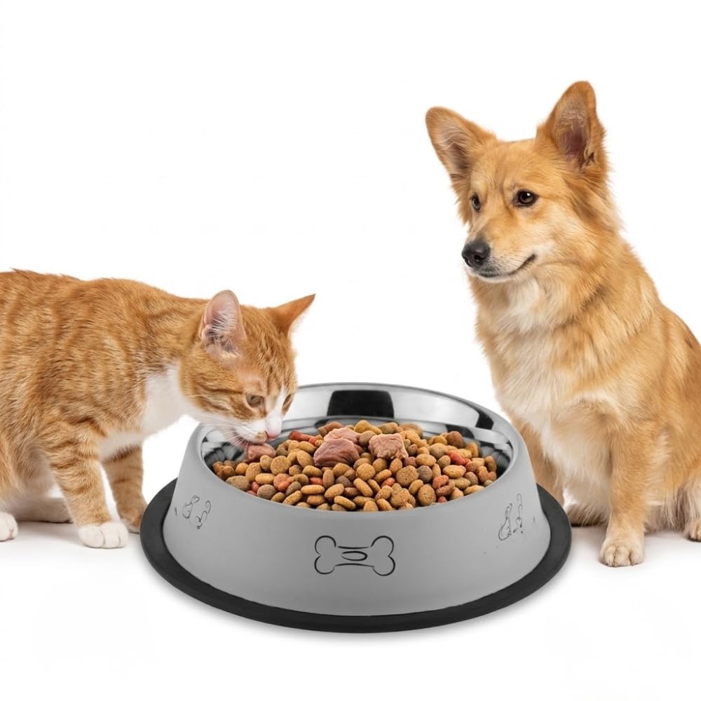 Drumstone (   ) AntiSkid Stainless Steel Pet Bowl 700Ml For Dogs & Cats  NonSlip Rubber Base, Food & Water Feeding Dish For S
