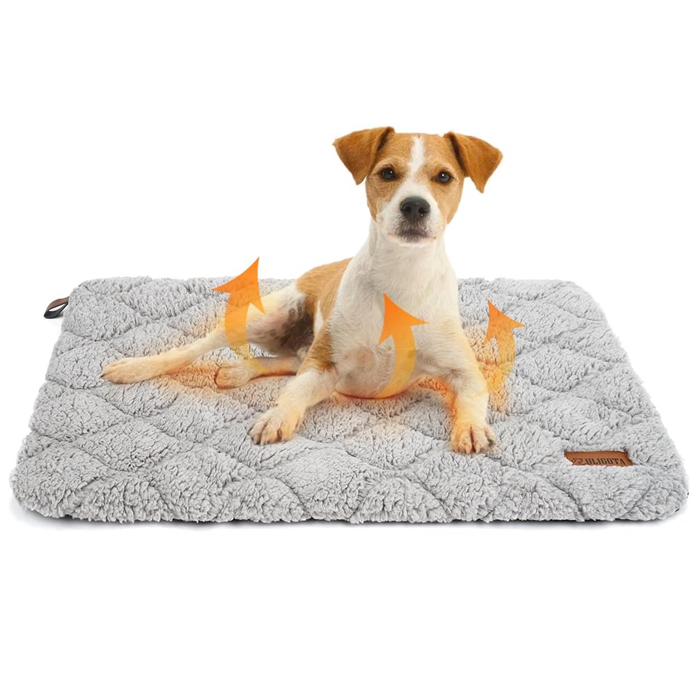 Self Warming Cat Bed Self Heating Cat Dog Mat 24 X 18 Inch Soft & Fluffy Cat Bed Noiseless Thermal Pet Pad For Indoor Outdoor Pe