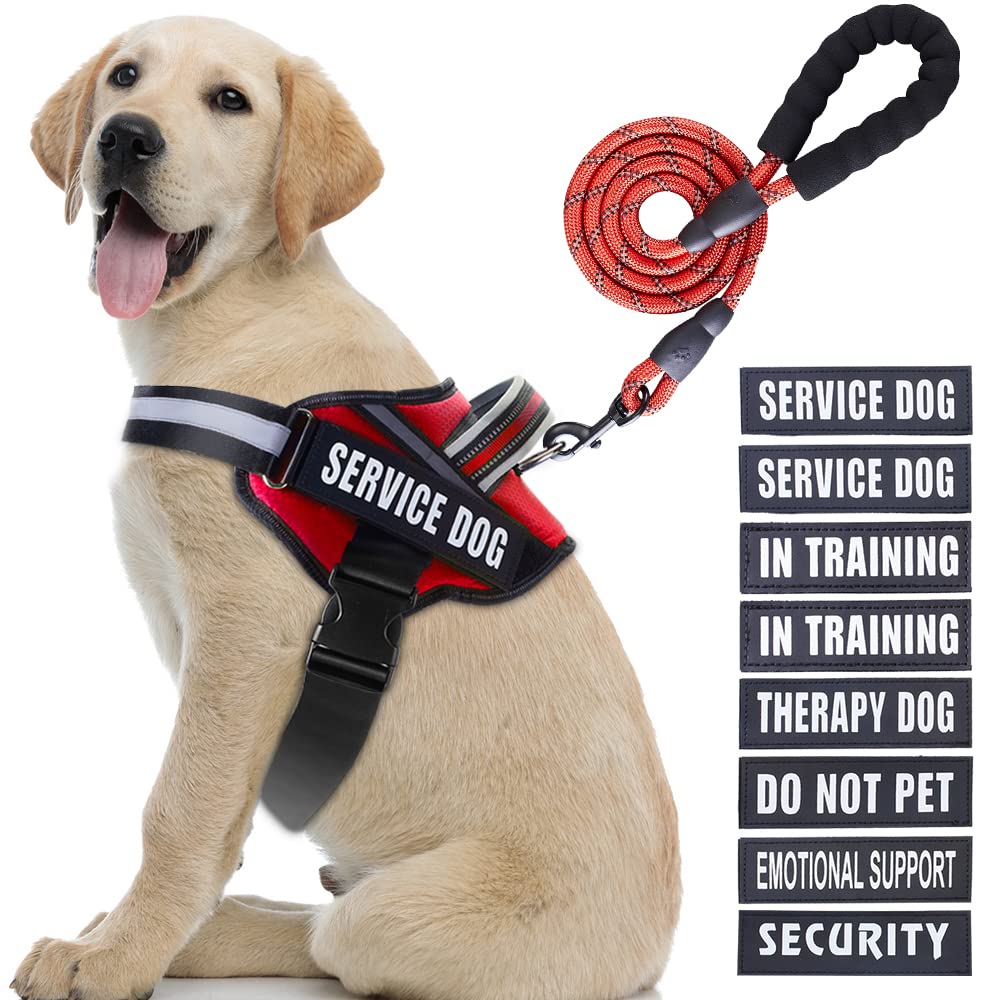 Service Dog Vest Harness And Leash Set, Animire In Training Dog Harness With 10 Dog Patches, Reflective Dog Leash With Soft Padd