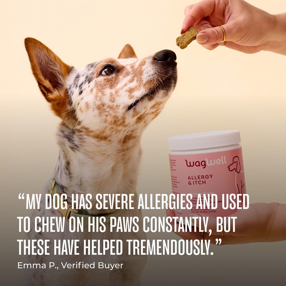 WagWell Allergy and Itch Chews - Chicken Flavored - Plant Based with Colostrum and Spirulina - Dog Skin and Coat Supplement for