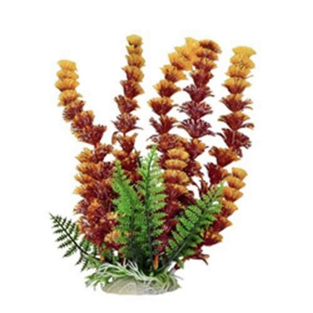 Aquatop Aquatic Supplies Pd-Bh41 003489 Cabomba Fire Aquarium Plant Rustorange 6