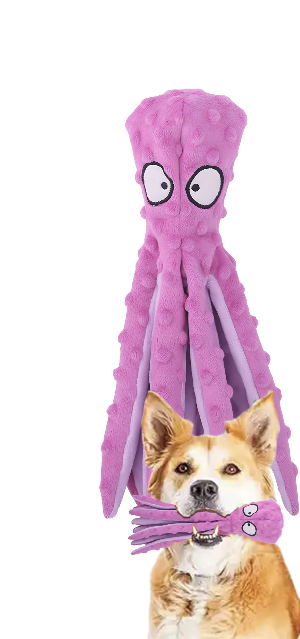 Wishstore Squeaky Octopus Dog Toys - No Stuffing Crinkle Plush Dog Toy - Pack Of 2 (Purple And Green)
