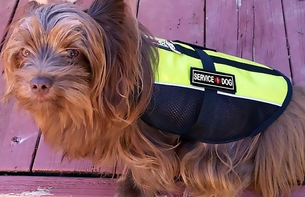 Dogline Service Dog Patch For Harness And Vest Removable 3D Rubber Patches Hook Backing For Small Or Large Working Dogs