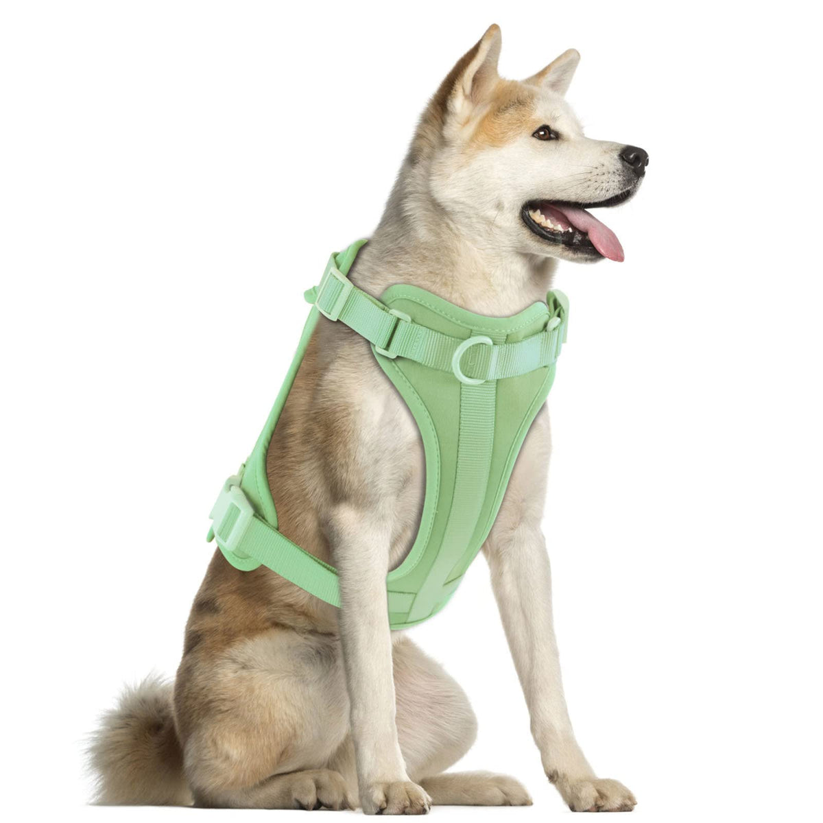 Wisedog No Pull Lightweight Dog Vest Harness With Soft And Comfortable Cushion, Breathable Mesh, For Small Medium Large Dogs Walking (L(Neck: 16.15'-20.86';Chest: 24.02'-38.19'), Sage Green)