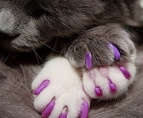 Kitty Caps Nail Caps for Cats  Safe, Stylish & Humane Alternative to Declawing  Stops Snags and Scratches, Large (13 lbs or grea