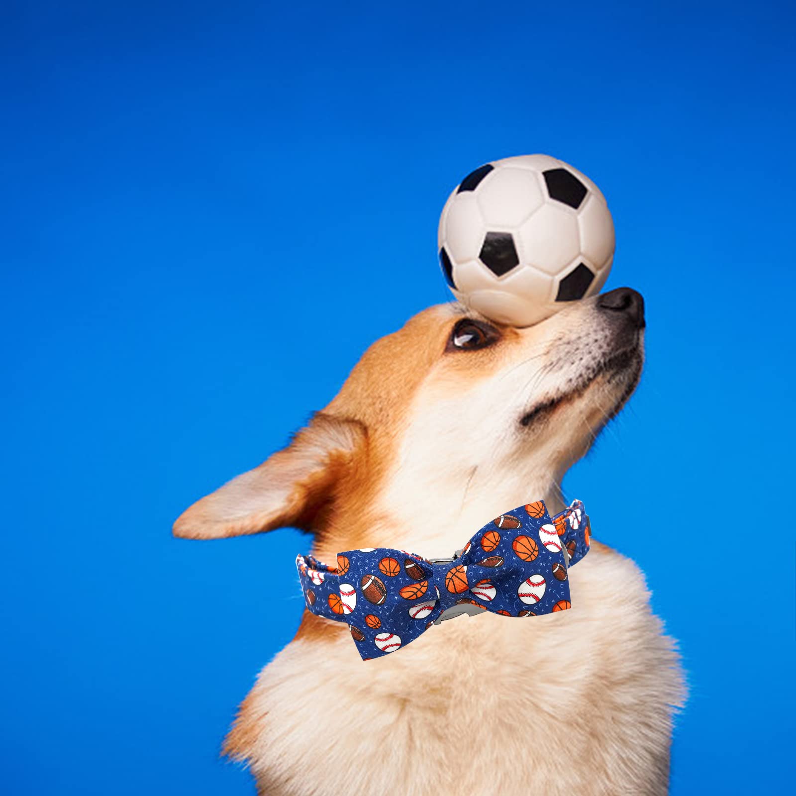 Elegant little tail Dog Collar, Balls Print Dog Collar with Bow Boy Dog Collar Pet Collars Soft Dog Bowtie Adjustable Dog Collar