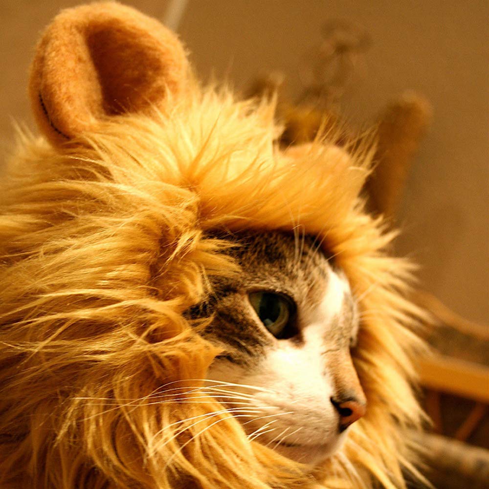 SNIK-S Cat Wigs Lion Mane Wig with Ears- Fancy Costume Hair Lion Hat for Halloween and Cosplay Party (S)