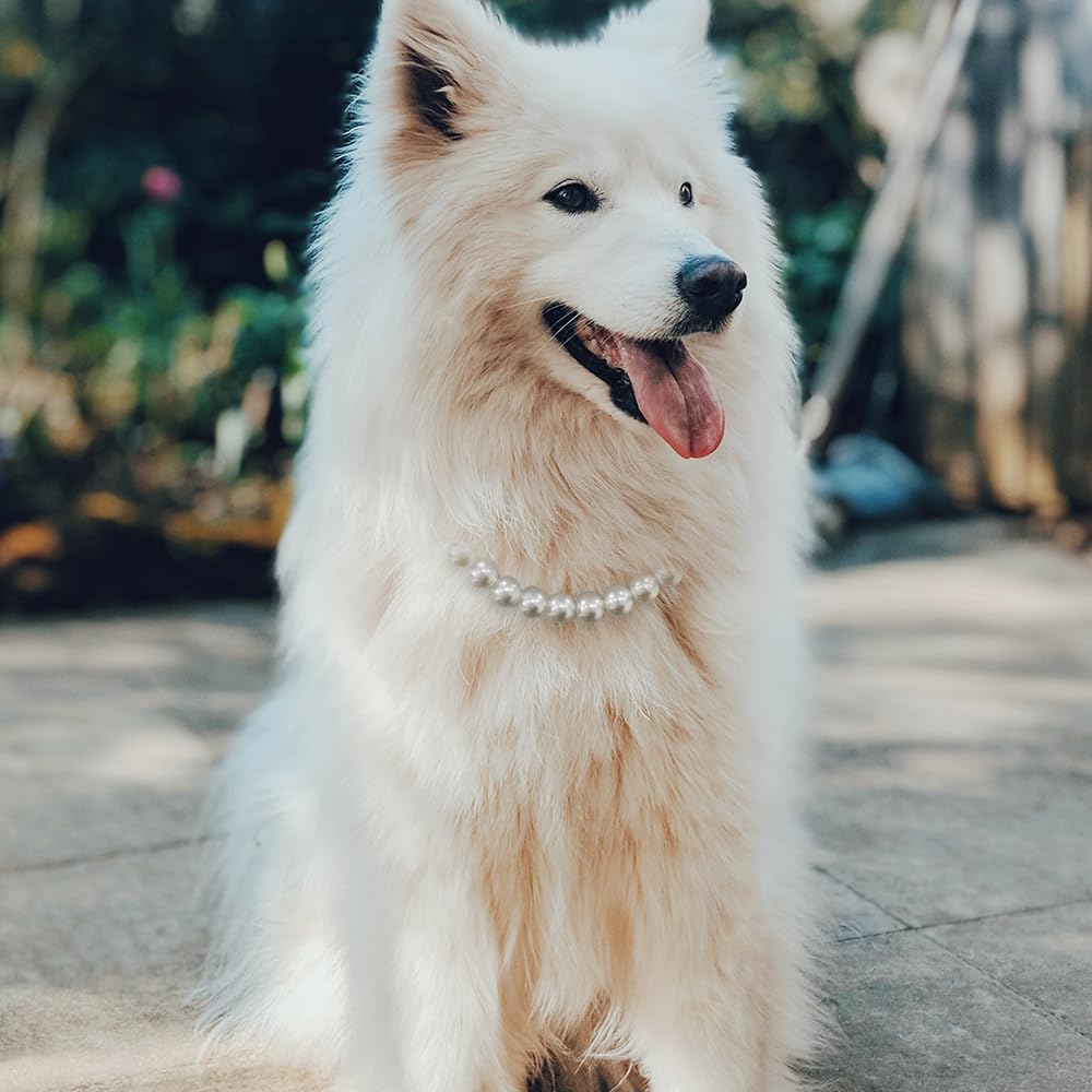 Madison Tyler Dog Pearl Necklace | Durable Dog Necklace | Cute Fashion Pet Collar For Dog | Light Pearl Jewelry Bold Puppy Acces