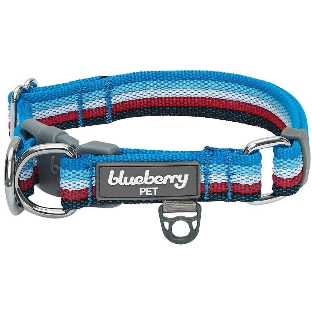 Blueberry Pet 3M Reflective Dog Collars | Adjustable Dog Collar w/Multi-Colored Stripe - Azure Blue and Raspberry Red | Nylon Pe