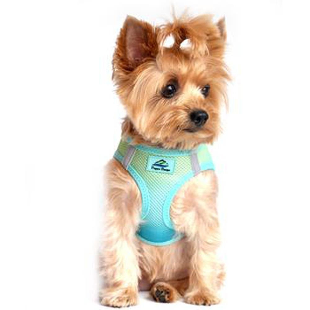 Doggie Design No Choke Dog Harness - Simple Step-in and Go Dog Vest for Small, Medium, and Large Breeds - Breathable Mesh Polyester Pet Harness - Aruba Blue - S