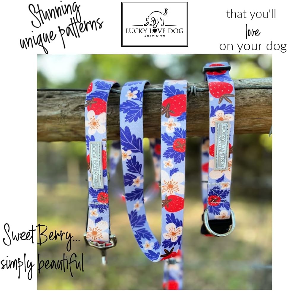 Lucky Love Dog Martingale Collar And Leash Set, Premium Fun Girl No Slip Collars, Strawberry Martingale Dog Collar And Leash Set