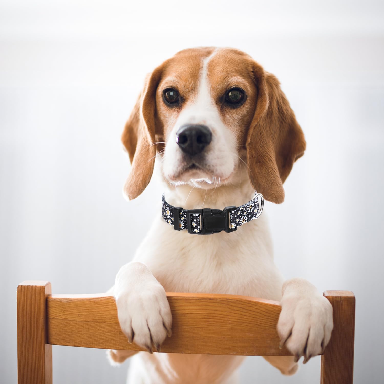 Dog Collars For Large Dogs With Daisy Patterns, Cute Dog Collar Buckle Collar For Boy Girl Dogs, Adjustable Comfy Soft Durable P