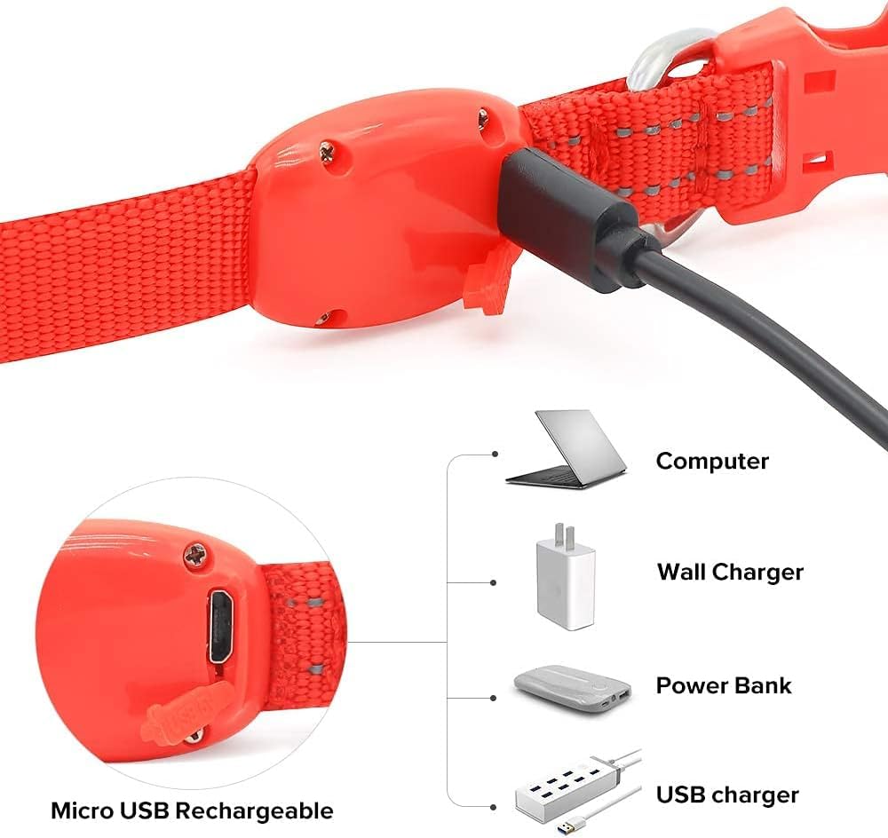 Bseen Light Up Dog Collar, Reflective Led Dog Collar Rechargeable Glowing Puppy Collars For Small Dogs & Cats, Safety Dog Lights