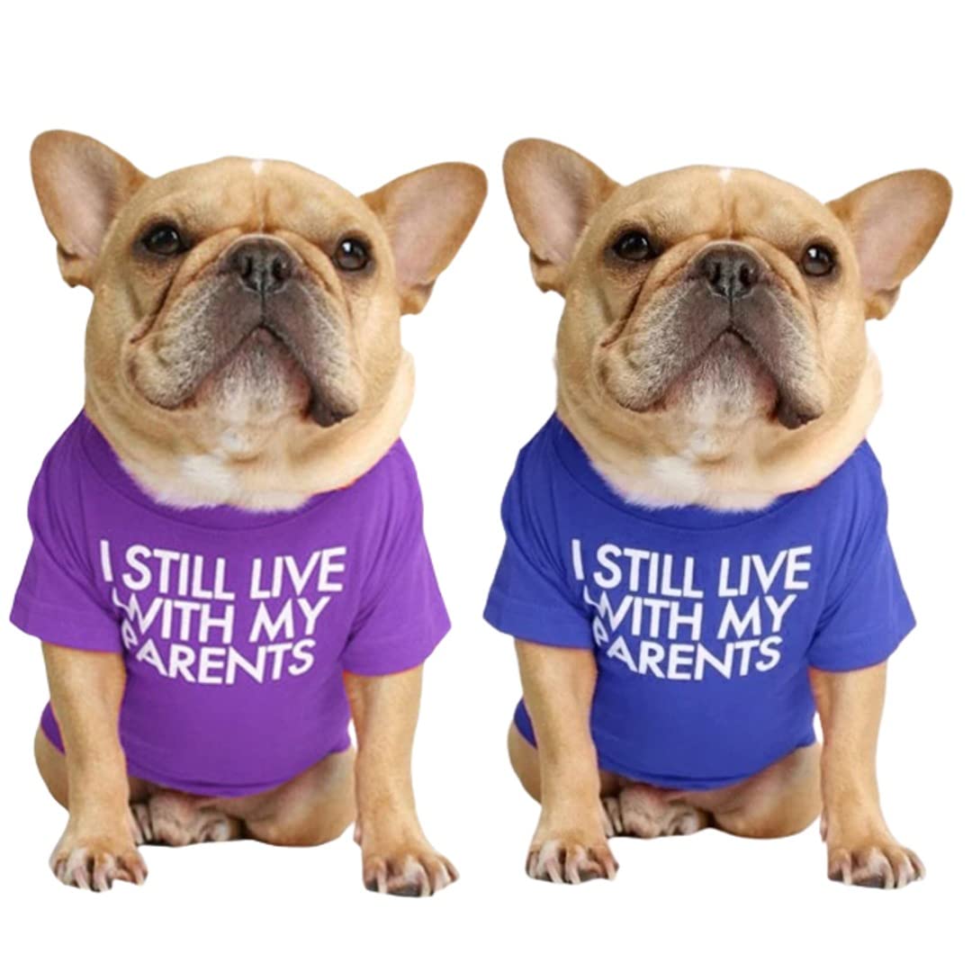 Kutkut Combo Of 2 Pet Dog Breathable Stretchy Round Neck T-Shirt | Pet Dogs Cooling Vest T-Shirts Soft Cotton Clothes | French B