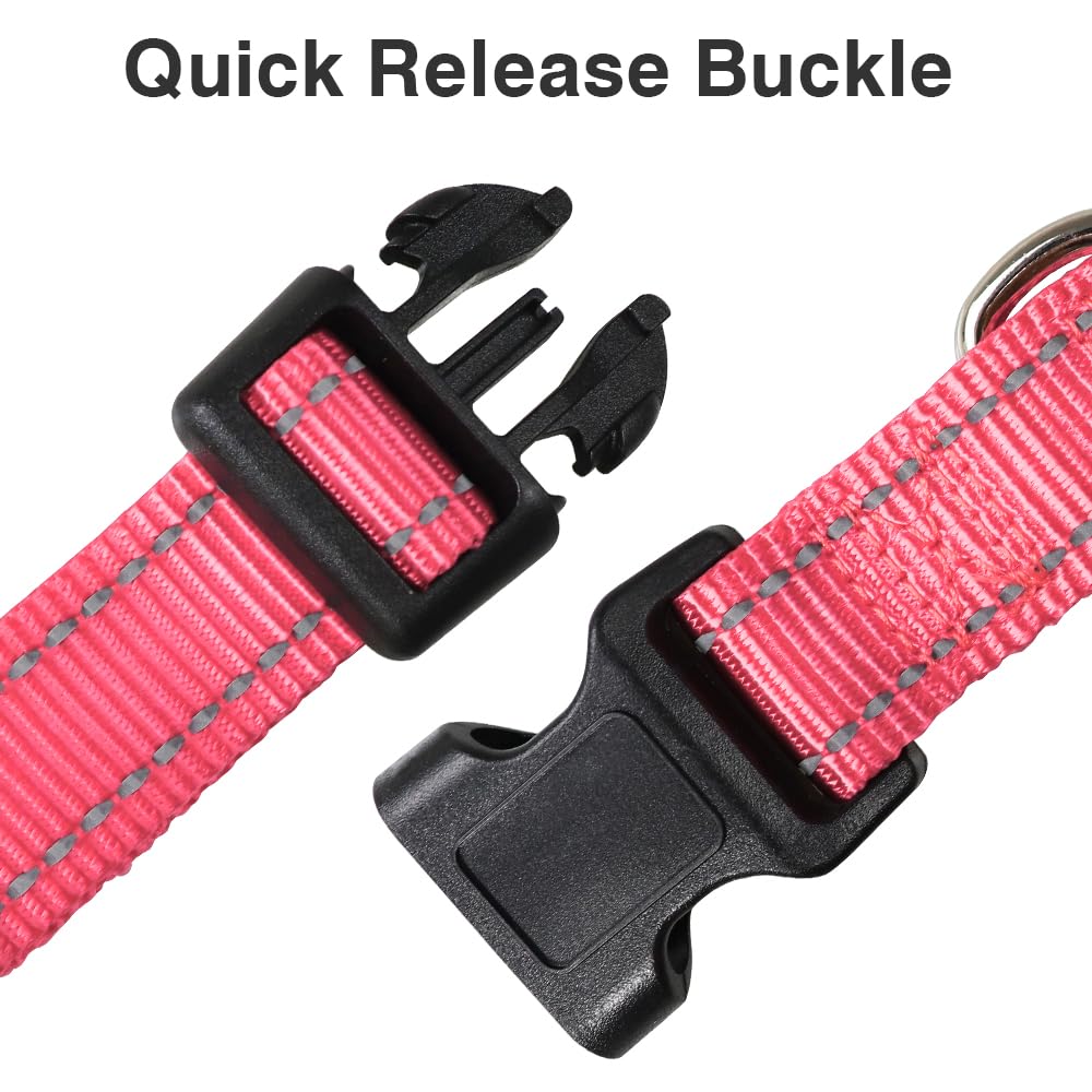 Taglory Reflective Adjustable Dog Collars For Puppy Small Medium Large Dogs, Thin Nylon Webbing And Quick Release Plastic Buckle(Noen Pink Medium)