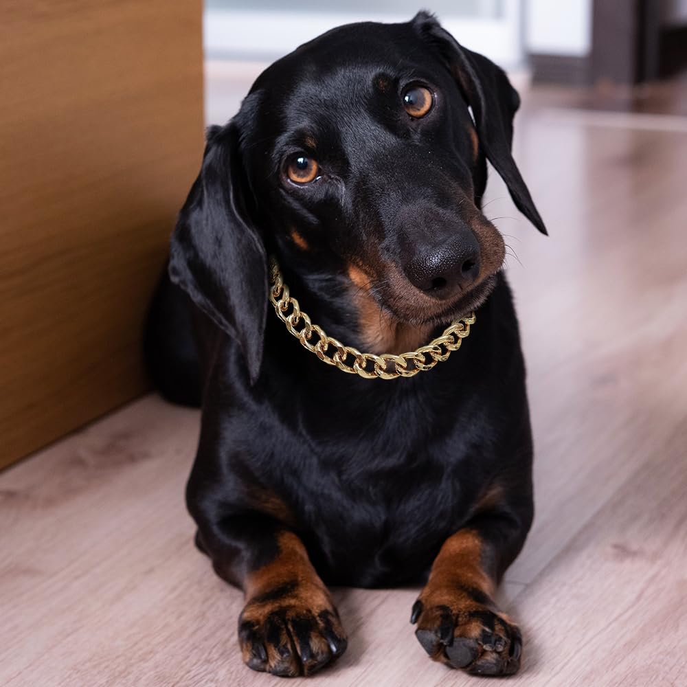 Madison Tyler Dog Gold Chains Necklace | Cuban Link Durable Dog Necklace | Cute Fashion Pet Collar | Light Metal Jewelry Bold Ch