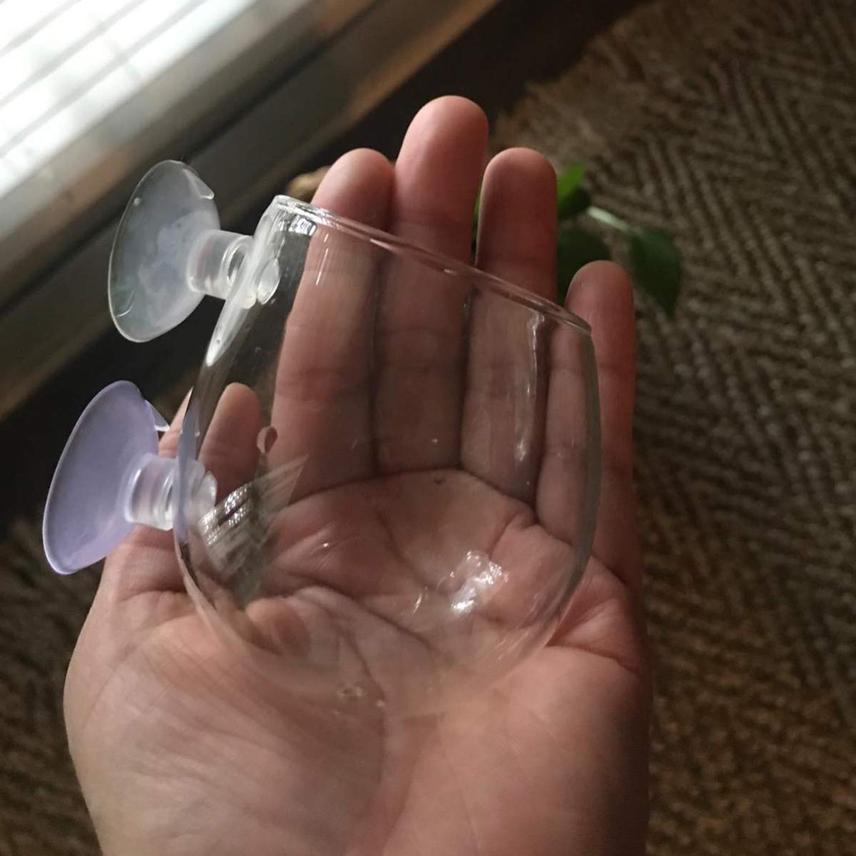 Ailindany 2PCS Crystal Glass Aquatic Plant Cup Pot Holder with Suction Cups for Fish Tank Aquarium Decor