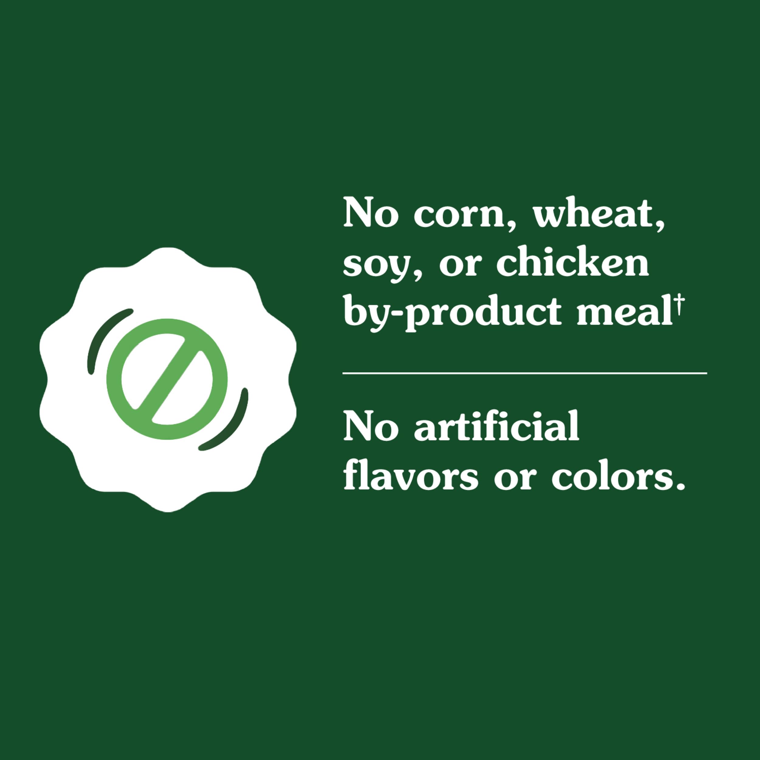 Greenies Smart Essentials Adult High Protein Dry Dog Food Real Chicken & Rice Recipe, 15 lb. Bag