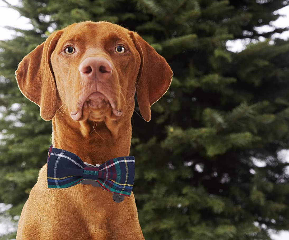 Dogwong Christmas Dog Collar With Bow Tie, Red Blue Plaid Gingham Dog Collar Soft Durable Adjustable Cotton Blue Tartan Puppy Co