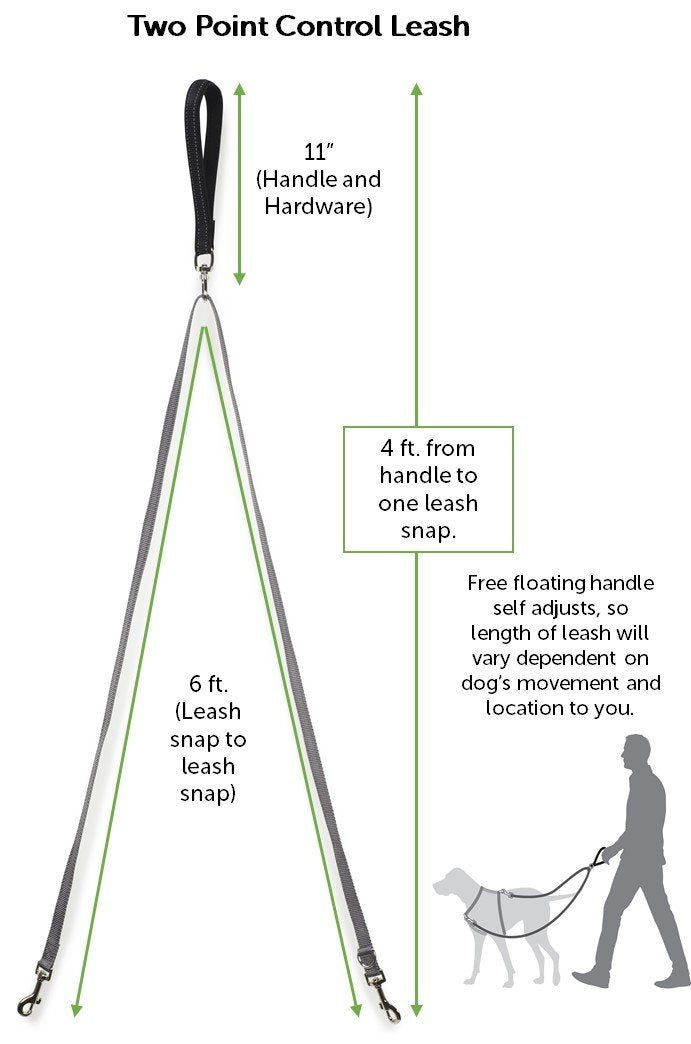 Petsafe Two Point Control Leash, Padded And Reflective Nylon, Converts To Single Leash, Works With 3In1 Harnesses, 3/4 In. Wide