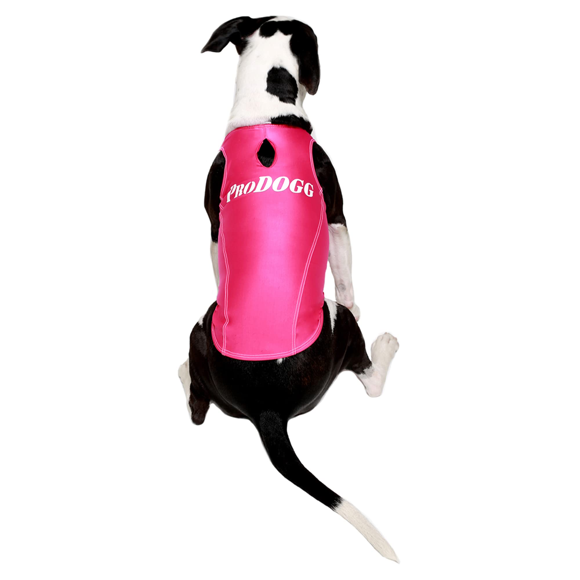 Prodogg Sleeveless Anxiety Relief Jacket Vest For Dogs | Calming Wrap Solution For Anxiety, Separation, And Stress Relief (Fuchs