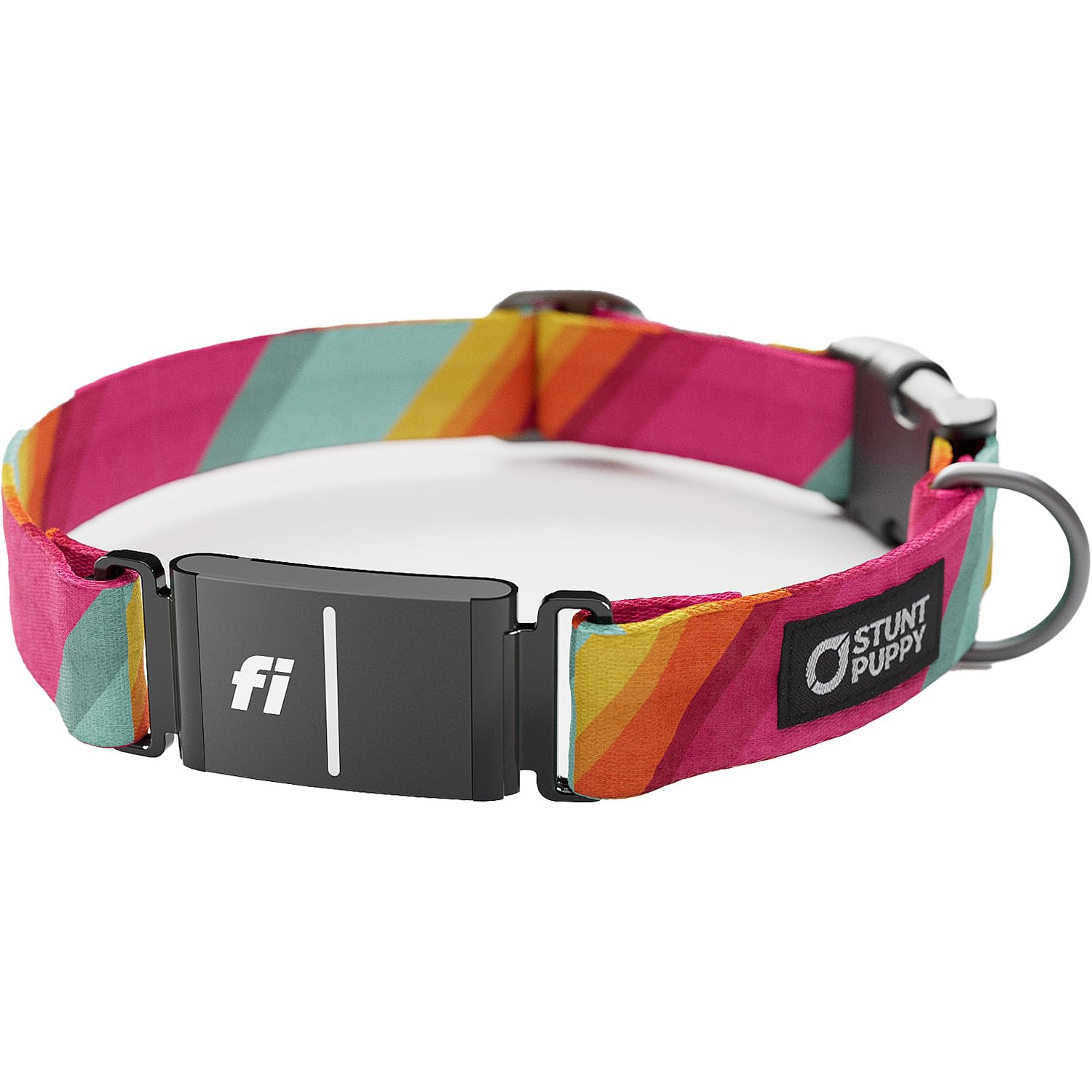 Stunt Puppy Dog Collar, Fi Series 3 Ready, All Are Welcome Here, Large - Compatible With Fi Gps Device (Not Included)