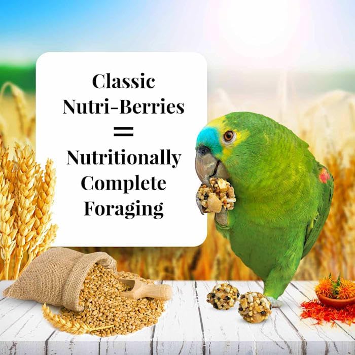 LAFEBERS Classic Nutri-Berries Pet Bird Food, Made with Non-GMO and Human-Grade Ingredients, for Parrots, 3.25 lb