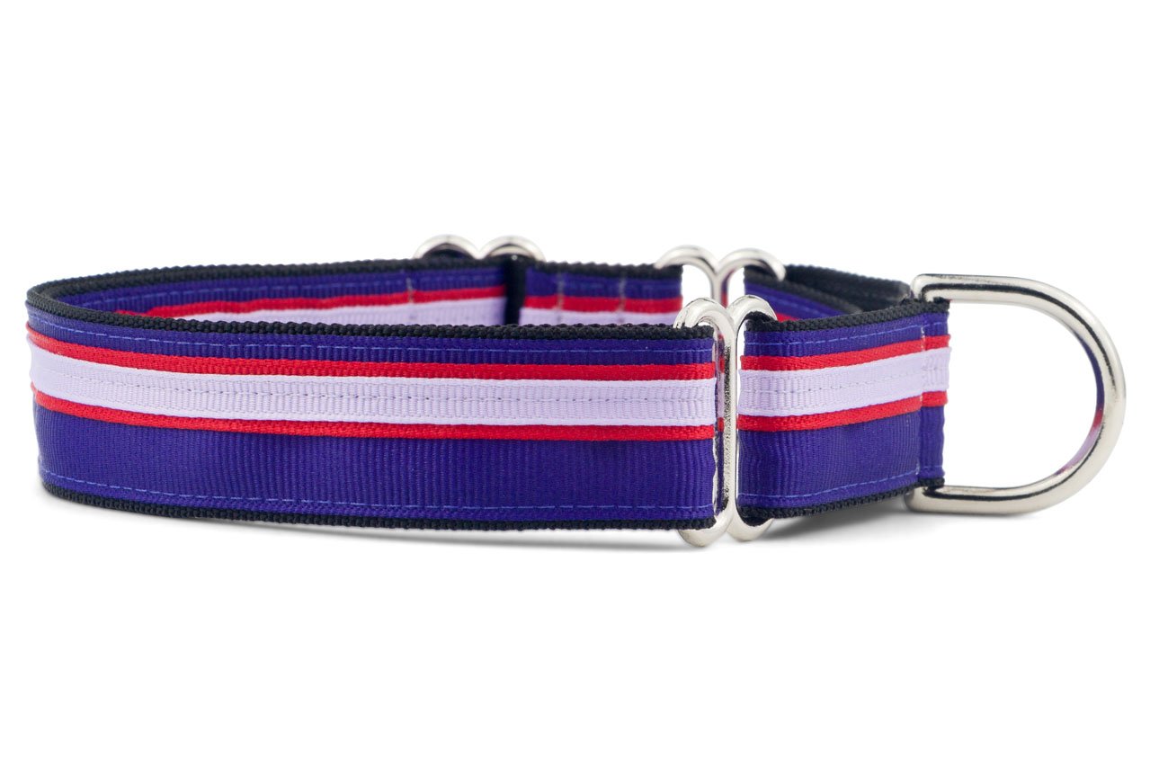 If It Barks 1'' Martingale Collar For Dogs, Adjustable Nylon, Usa Made, Large, Jelly