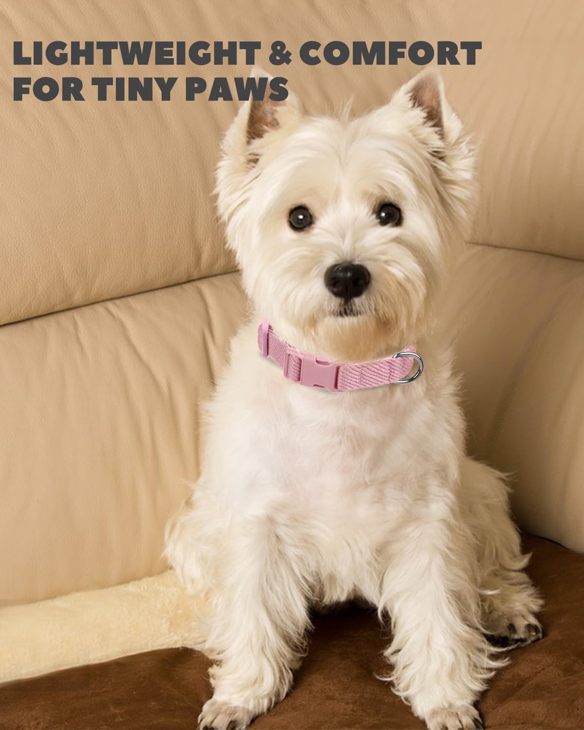 Dynmeow Soft And Breathable Cotton Dog Collar, Durable Adjustable Female Girl Pet Collar With Quick-Release Buckle, Lightweight