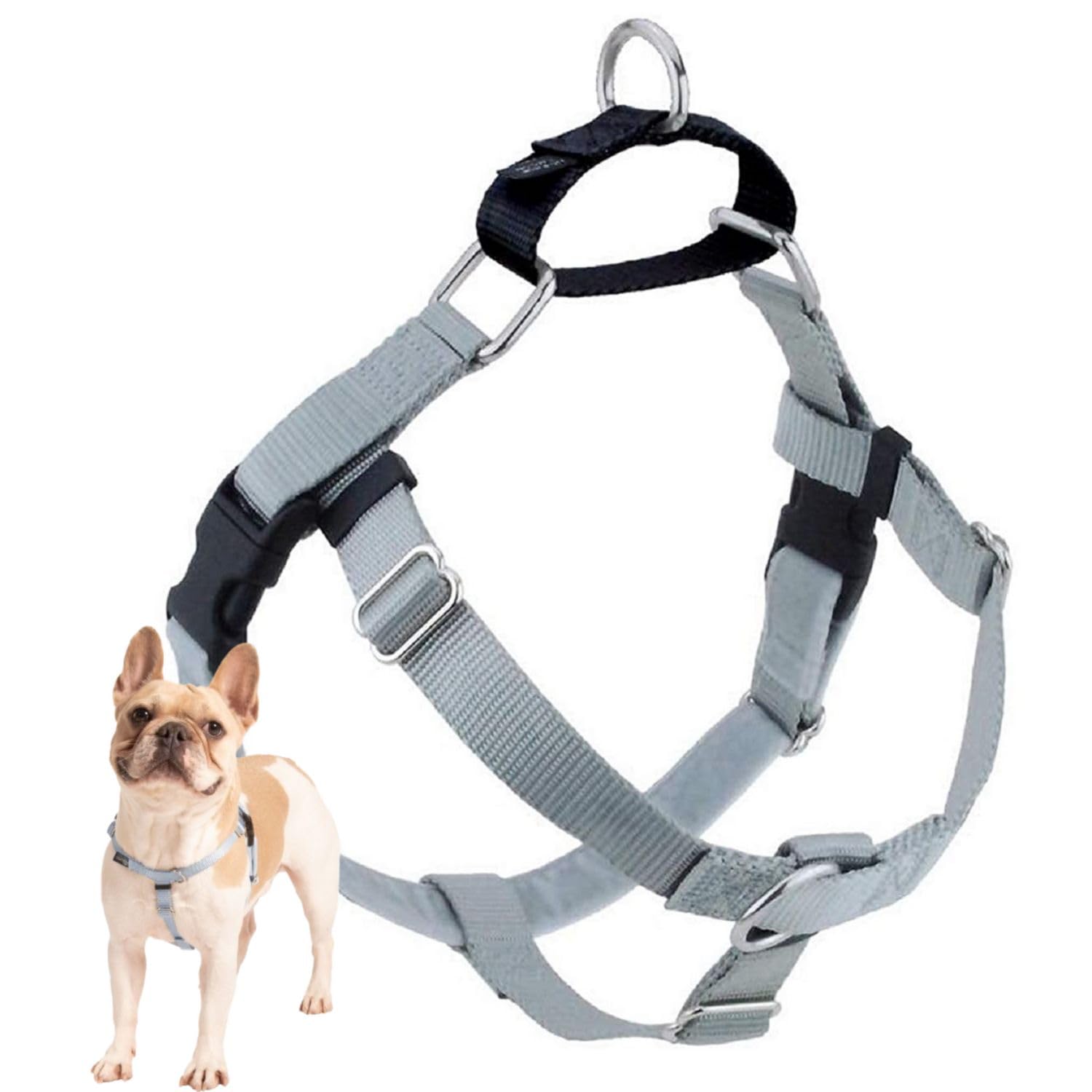 2 Hounds Design Freedom No Pull Dog Harness, Adjustable Harness, Easy Walking & Comfortable Control, Fits Small, Medium & Large Dogs, Solid Colors, Made In Usa, 1' Lg, Silver