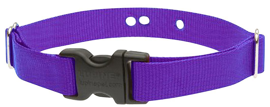 LupinePet Basics 1'' Purple 12-17'' Containment Collar Strap for Medium Dogs