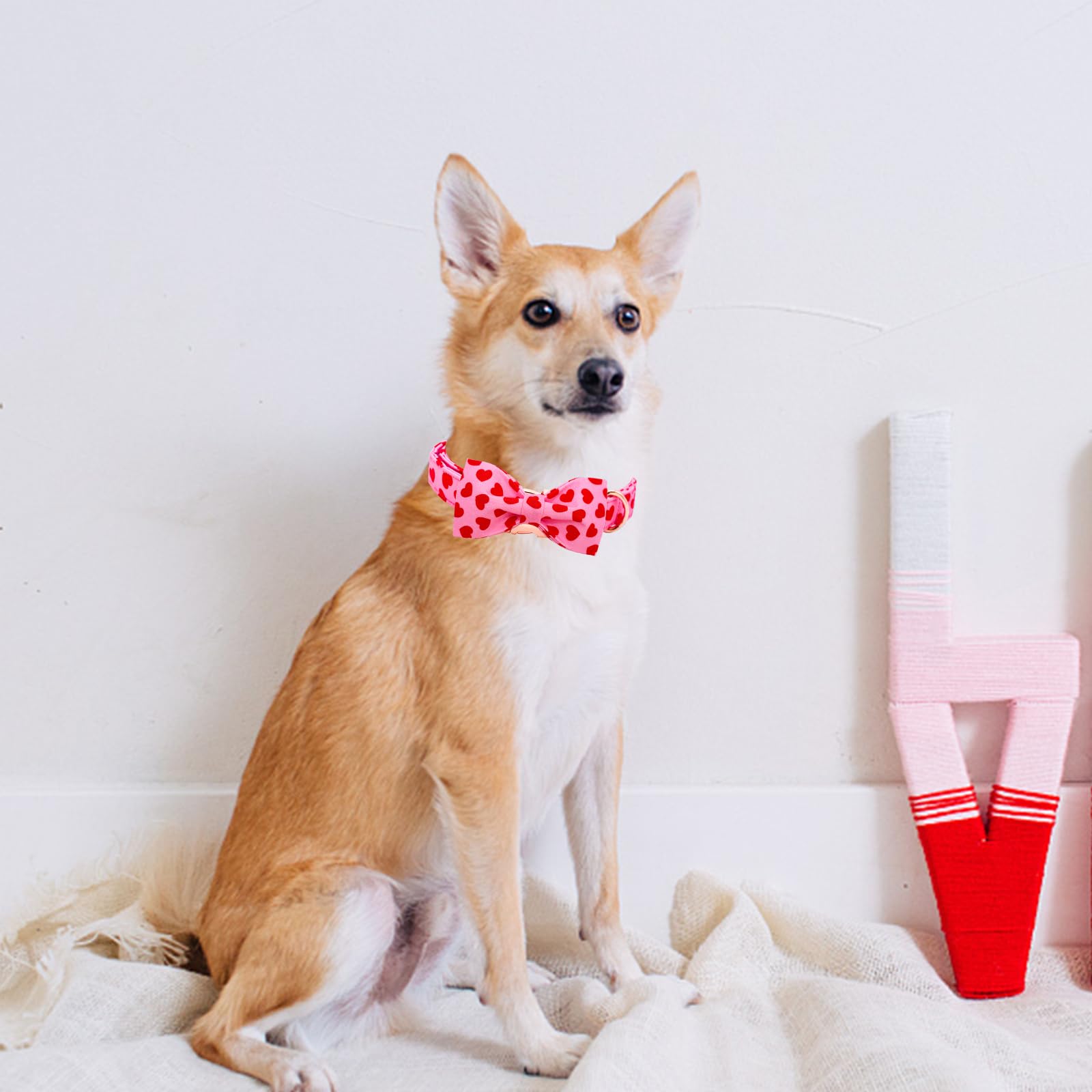 Lionheart Glory Dog Bow Collar Valentine'S Day Dog Collar For Small Dogs, Hearts Dog Collars With Bowtie Spring Dog Collar Pet C