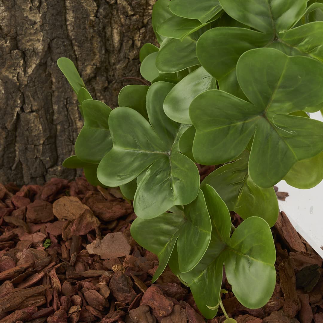 Woledoe Reptile Plants For Terrarium, Amphibian Habitat Decor Artificial Hanging Plants With Suction Cup - Fake Shamrock