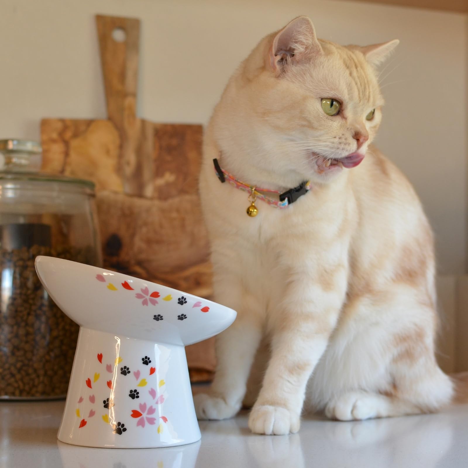 Necoichi Raised Cat Food Bowl - Ceramic Elevated 15 Tilted Cat Bowl for Whisker & Neck Fatigue, Dishwasher Microwave Safe - Non-