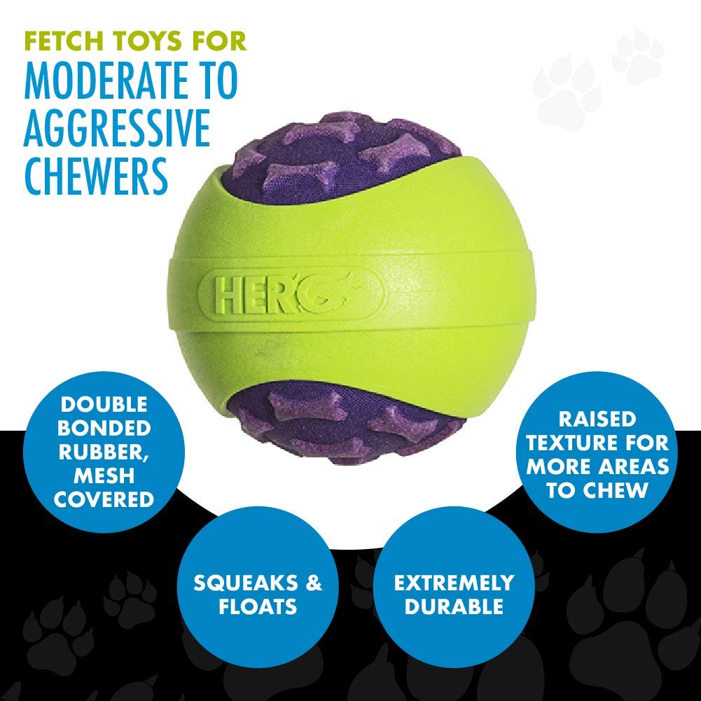Hero Outer Armor, Durable Ball Dog Toy, Floats & Squeaks, Large - Purple & Green