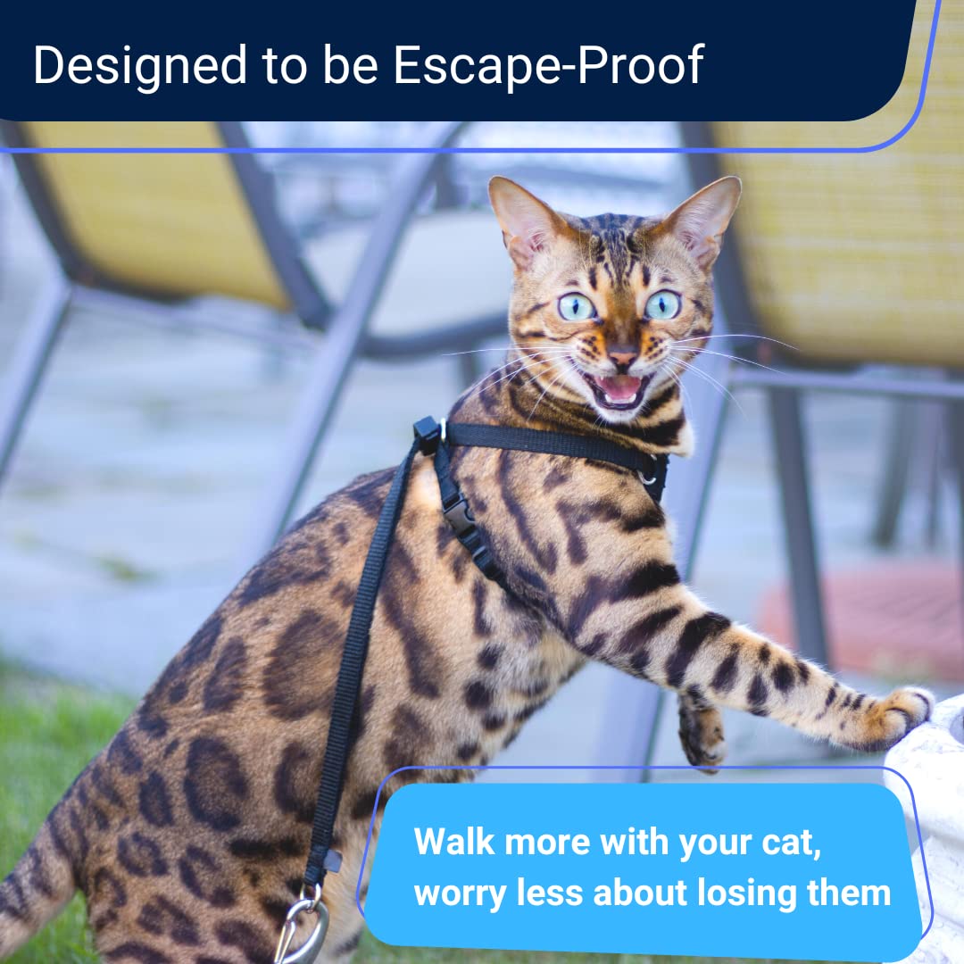 Houdini™ Escape Proof Cat Harness And Leash Set By Outdoorbengal For Walking Cats And Kittens (Soft Mesh, Kitten)