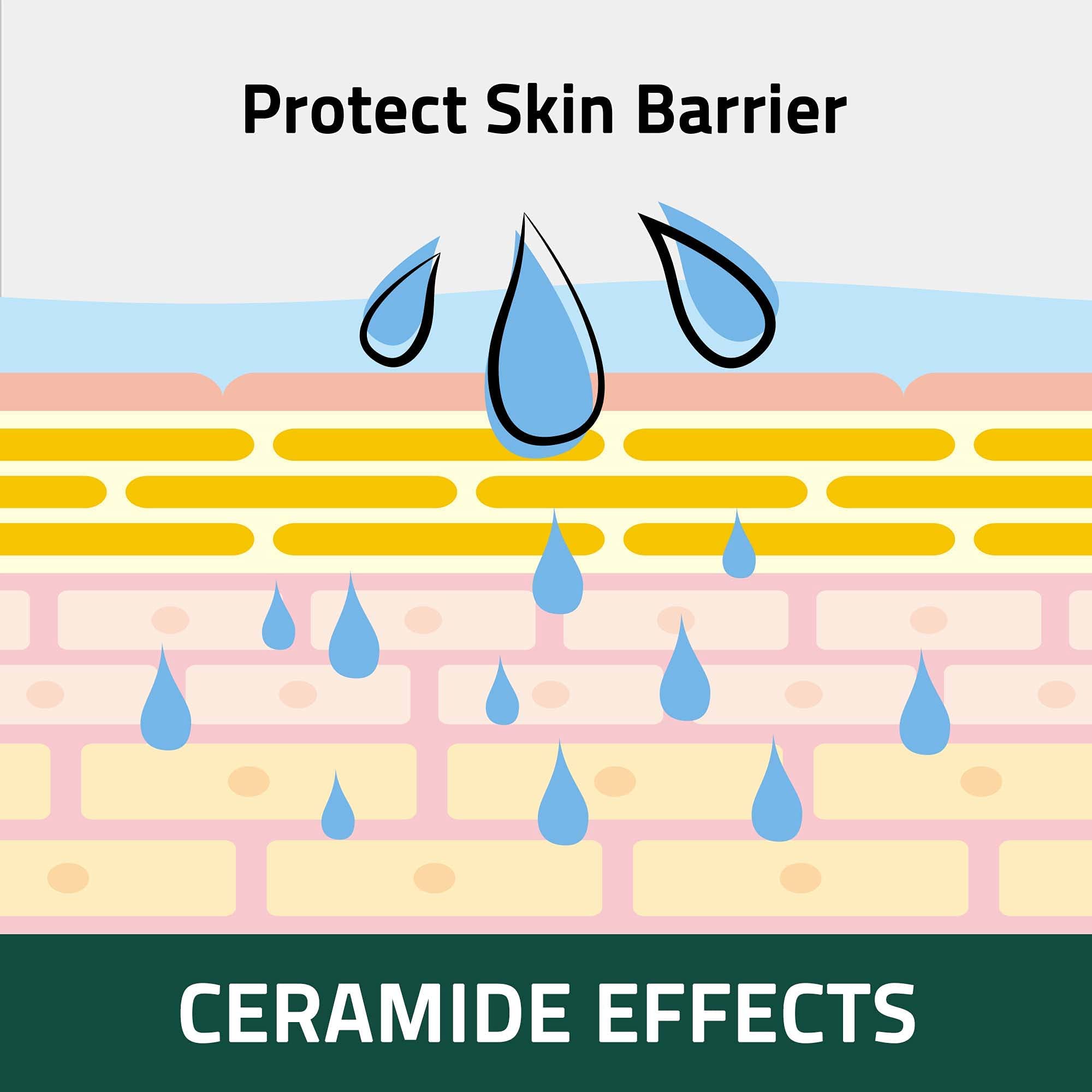 Breezytail Peto?era Cat Shampoo | All-In-One Cat Shampoo | Hypoallergenic Itch Relief &Moisturizing | Veterinarian Approved And Formulated Shampoo For Cats (1 Bottle (10.1Oz))