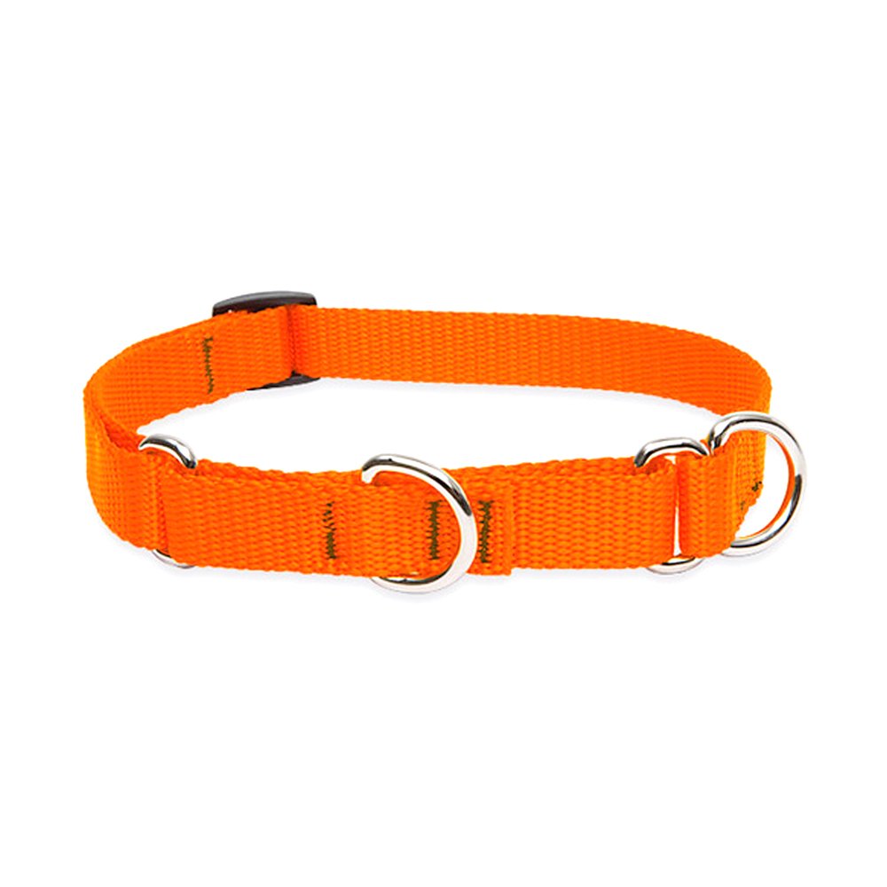 Lupinepet Basics 3/4' Blaze Orange 14-20' Martingale Collar For Medium And Larger Dogs