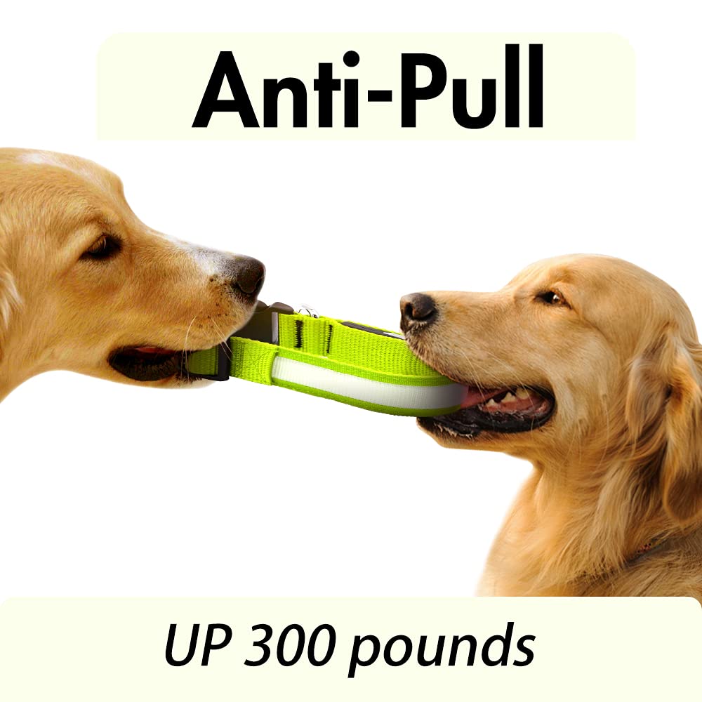 Led Dog Collar - Light Up, Waterproof, Adjustable Flashing, Rechargeable Visibility & Safety For Dogs (Green, Large)