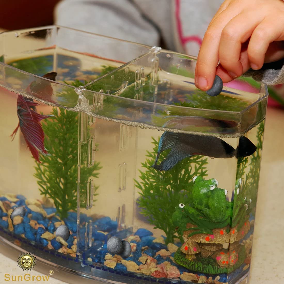 SunGrow Mineral-Rich Balls for Betta, 0.5   , Water Conditioner with Over 30 Beneficial Elements, Freshwater Fish Tank Decoratio