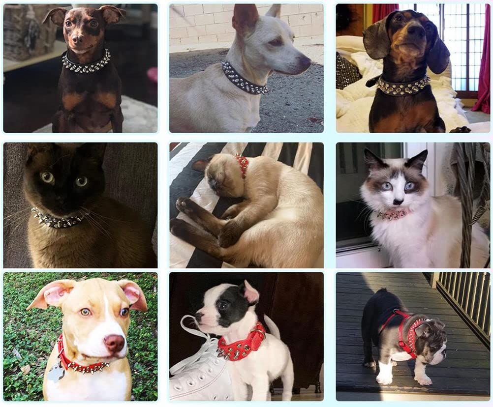 Spiked Dog Collars For Large Dogs, Studded Spike Collar Mushrooms Rivet Anti-Bite Pu Leather Boy Dog Collars For Small Medium La