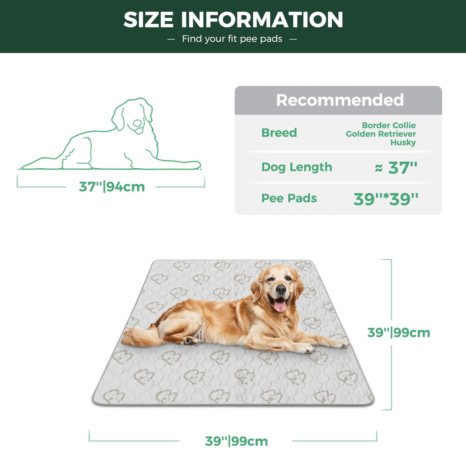 Fxw Washable Pee Pads For Dogs, Puppy Pads With Super Absorbent, Specifically Designed For Potty Training, Square, 39'' X 39'',