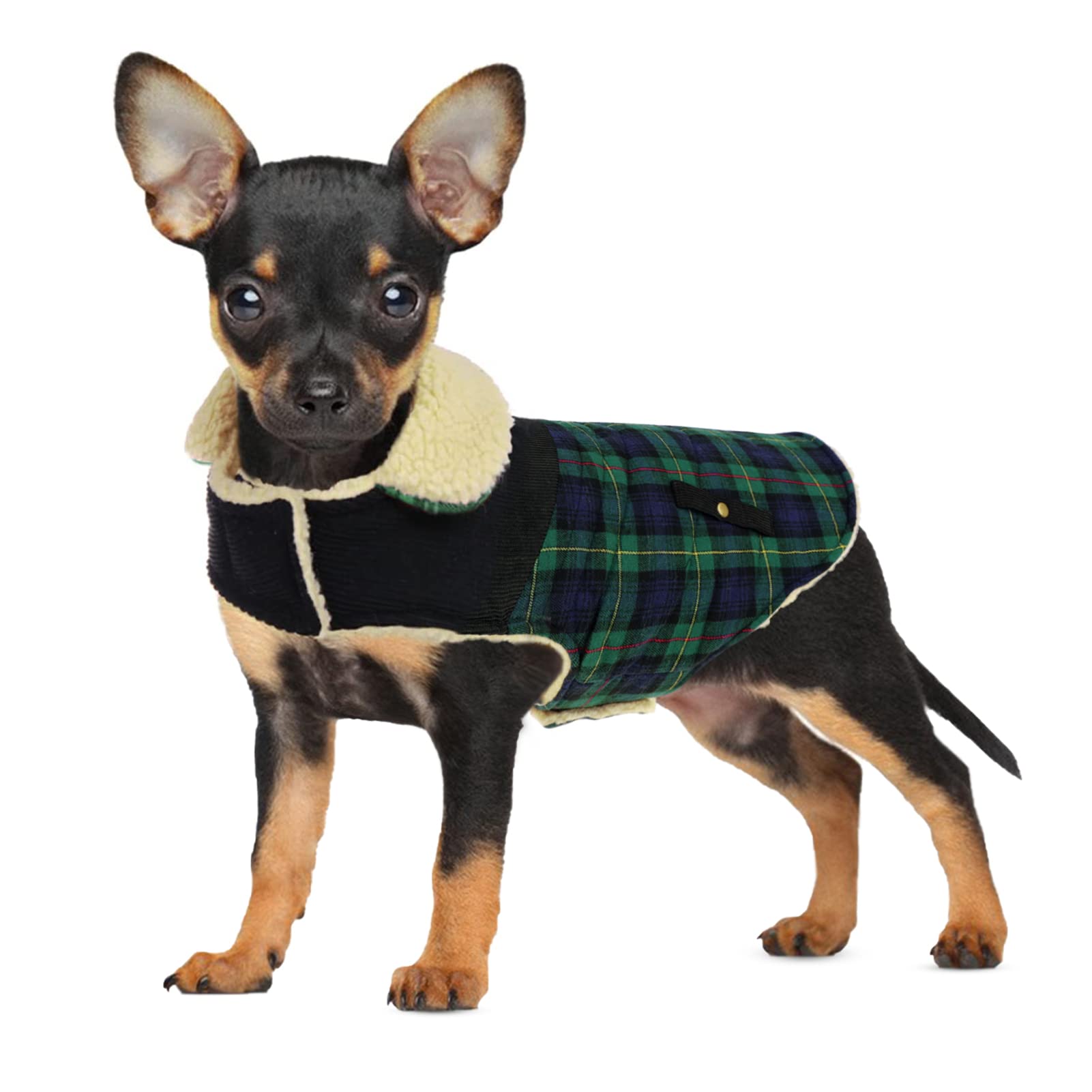 Preferhouse Winter Coat For Small And Medium Dogs, Puppy Plaid Jacket, Cotton Coat For Cold Weather, Windproof Warm Dog Garments, Pet Thickened Outfits Indoor Outdoor, Green Xs