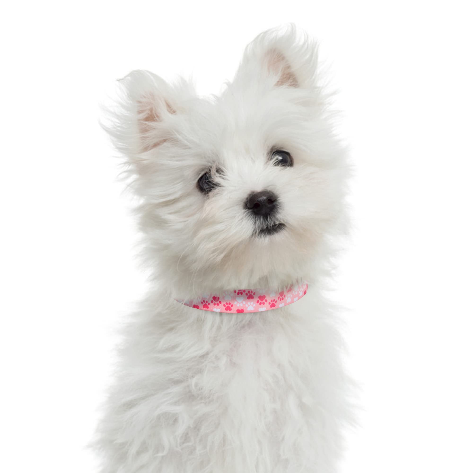 Mile High Life Dog Collar | Nylon Puppy Collars W Cute Patterns | Lightweight Girl Dog Collar | Boy Dog Collar For Small/Medium/Large Dogs (Pink Foot, Large)