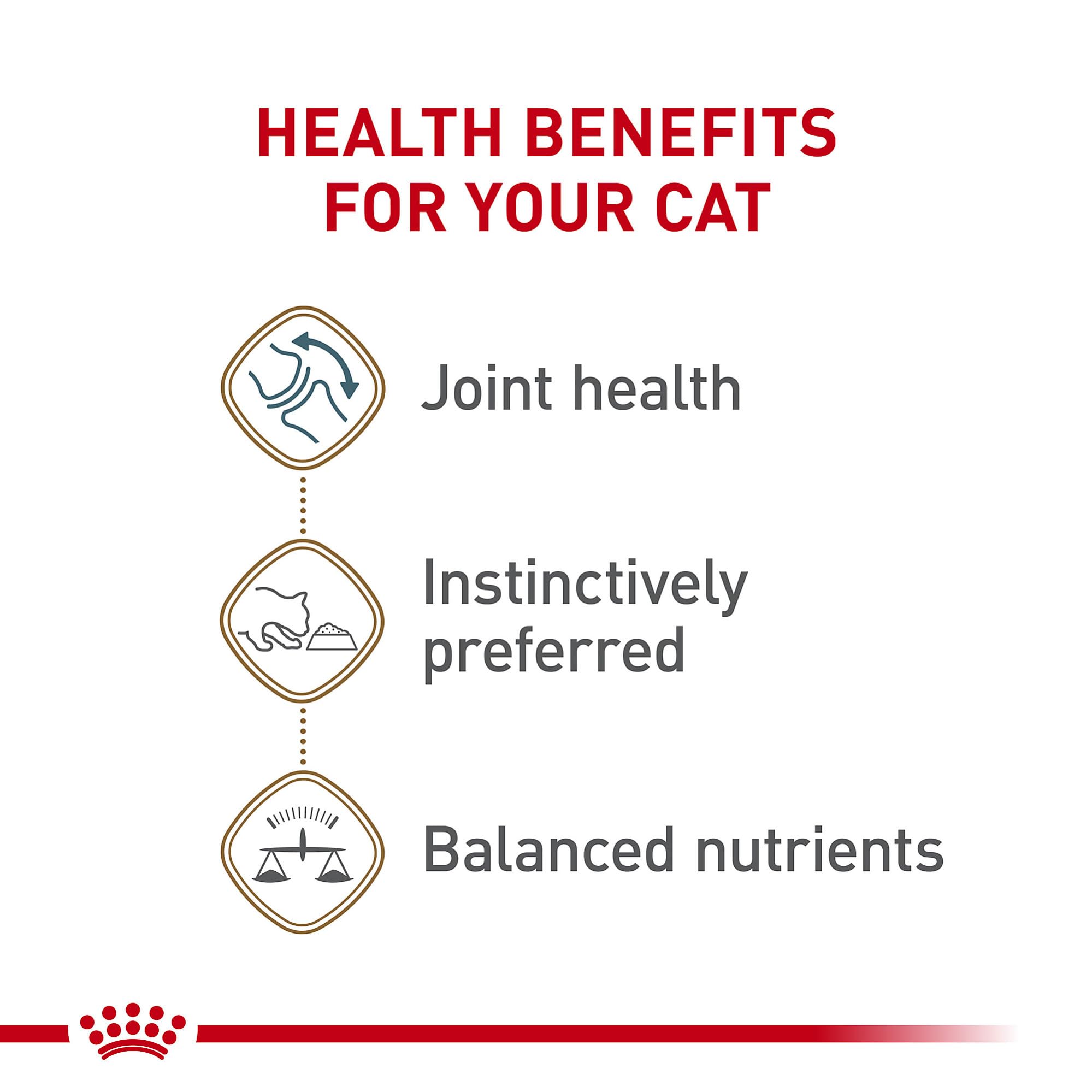 Royal Canin Feline Health Nutrition Aging 12+ Senior Cat Food, 5.1 oz, Pack of 24, Brown, Model 41141