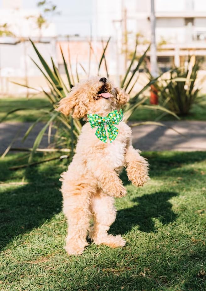 Unique Style Paws St. Patrick'S Day Dog Collar With Bow Clover Collar With Flower For Small Medium Large Boys Girls Dogs