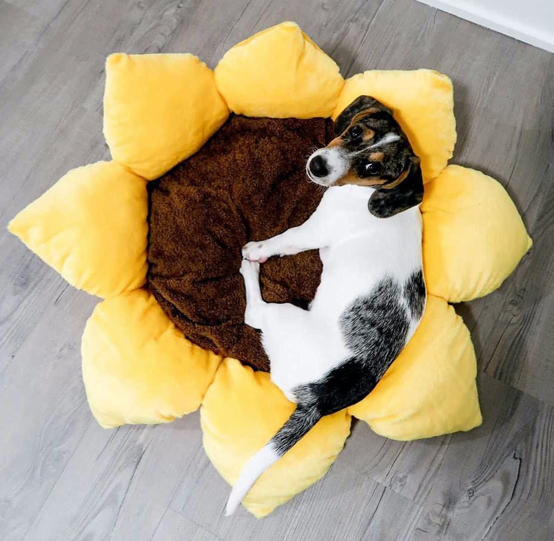 TONBO Soft Plush Dog Cat Bed, 24" Diameter, Polyester, Washer & Dryer Friendly, Sunflower Color, Model 13253