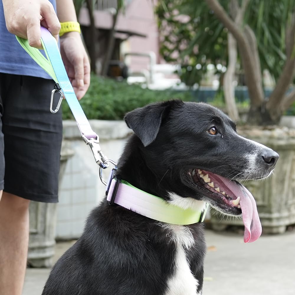 Tspro Dog Training Leash With Sturdy Metal Buckle, 14 Inches Short Leash For Large Dogs, Comfortable Padded Handle (Orange - Red
